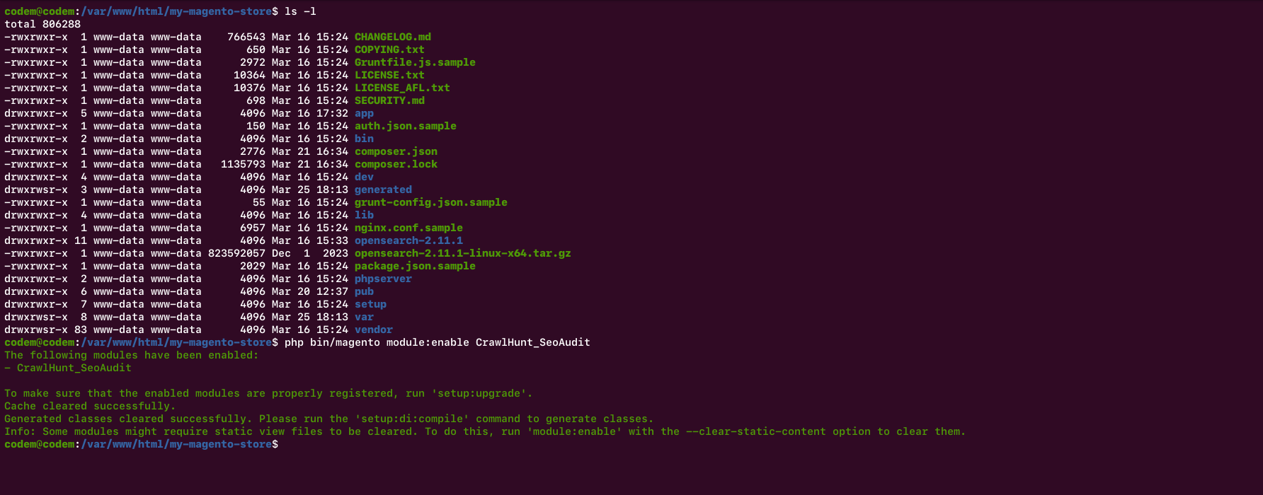 SSH terminal showing successful module:enable and setup:upgrade output