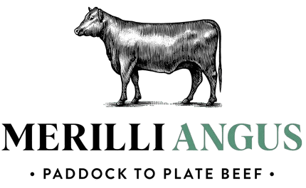 Merilli Angus